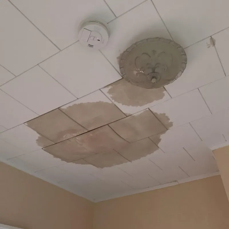 Ceiling Water Damage Repair in Scandia, MN